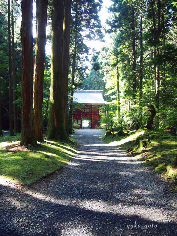 旅コラム】188柱もの神々が棲む、御岩神社とブレスレット 〜茨城県日立市〜 | 週末大人旅